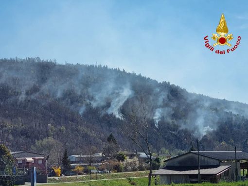FOTO. Incendio a Montegrino, migliora la situazione: non risultano più fronti attivi. In fumo 40 ettari di bosco FOTO. Incendio a Montegrino, migliora la situazione: non risultano più fronti attivi. In fumo 40 ettari di bosco