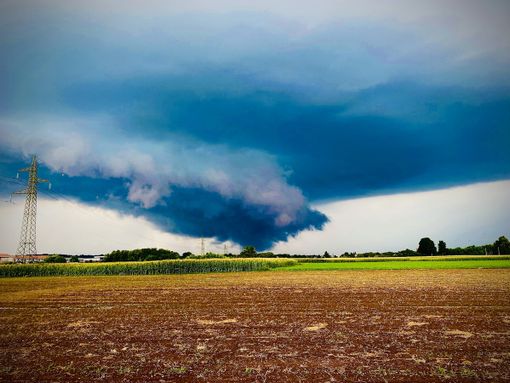 Foto di Luca Pellizzer da Lonate Ceppino