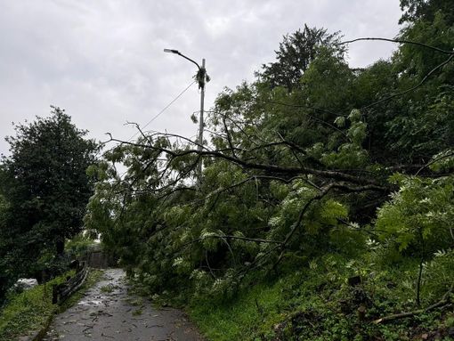 Le foto postate da Cosentino dalla strada provinciale 29, da Valganna a Cuasso al Monte, «chiusa per via delle sponde crollate» Le foto postate da Cosentino dalla strada provinciale 29, da Valganna a Cuasso al Monte, «chiusa per via delle sponde crollate»