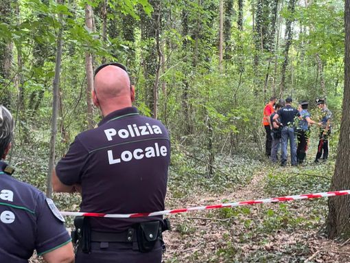 Conservazione e sviluppo: la sfida in via Curtatone. Il futuro del boschetto resta incerto