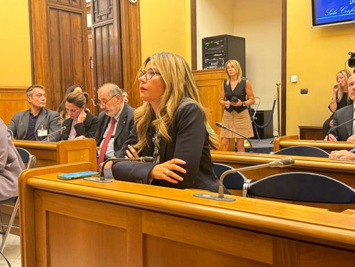 Omicidio ambasciatore Attanasio, Gadda: «Solo risposte burocratiche. Serve verità per famiglie, cittadini e onorabilità delle nostre istituzioni» Omicidio ambasciatore Attanasio, Gadda: «Solo risposte burocratiche. Serve verità per famiglie, cittadini e onorabilità delle nostre istituzioni»