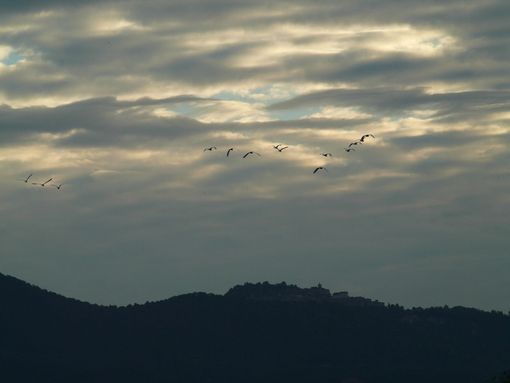 Minima di 16 gradi e altra pioggia in provincia: si respira dopo mesi di caldo e siccità. Domani torna il sole Minima di 16 gradi e altra pioggia in provincia: si respira dopo mesi di caldo e siccità. Domani torna il sole