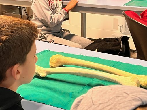 Notte europea delle ricercatrici e dei ricercatori: gli eventi dell’Università dell’Insubria a Varese e Busto Arsizio Notte europea delle ricercatrici e dei ricercatori: gli eventi dell’Università dell’Insubria a Varese e Busto Arsizio