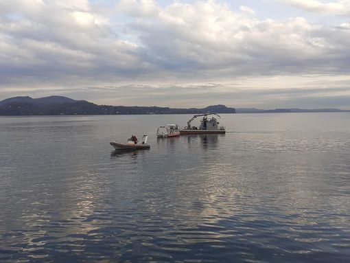 VIDEO E FOTO. Proseguono anche con i cani molecolari le ricerche di Sebastiano Bianchi VIDEO E FOTO. Proseguono anche con i cani molecolari le ricerche di Sebastiano Bianchi