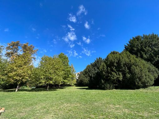 Pronti per un'altra domenica "estiva" in pieno autunno? Oggi si sale verso quota 25 gradi Pronti per un'altra domenica "estiva" in pieno autunno? Oggi si sale verso quota 25 gradi