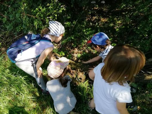 Dalla Regione 800mila euro per il potenziamento strutturale di Campo dei Fiori e Parco Pineta Dalla Regione 800mila euro per il potenziamento strutturale di Campo dei Fiori e Parco Pineta