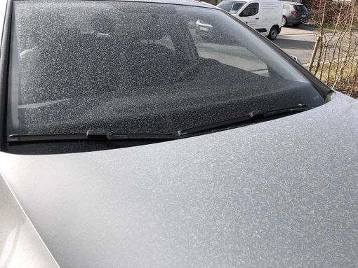 La foto postata dalla pagina Facebook ufficiale di MeteoSvizzera con il consiglio di... non lavare l'auto almeno fino a domani La foto postata dalla pagina Facebook ufficiale di MeteoSvizzera con il consiglio di... non lavare l'auto almeno fino a domani