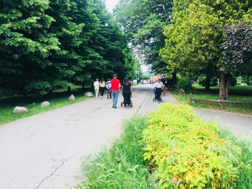 Schiranna, stop all'accesso al Lido in auto nei giorni festivi e la domenica Schiranna, stop all'accesso al Lido in auto nei giorni festivi e la domenica