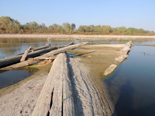 Una recente immagine del fiume Po scattata dal fotoreporter naturalista Paolo Panni nel tratto medio del Po tra le provincie di Cremona e Parma Una recente immagine del fiume Po scattata dal fotoreporter naturalista Paolo Panni nel tratto medio del Po tra le provincie di Cremona e Parma