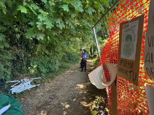 Il bosco di via Curtatone a Gallarate Il bosco di via Curtatone a Gallarate
