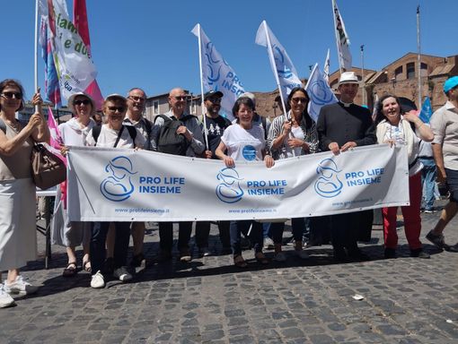 Marcia per la vita - La delegazione ProLife Insieme Marcia per la vita - La delegazione ProLife Insieme