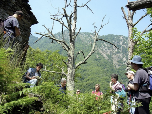 Libri in Cammino in Val Grande Libri in Cammino in Val Grande