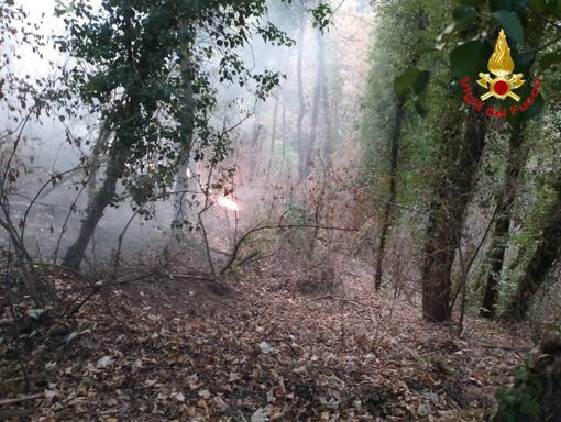 Golasecca, incendio boschivo minaccia due abitazioni: intervengono i vigili del fuoco Golasecca, incendio boschivo minaccia due abitazioni: intervengono i vigili del fuoco