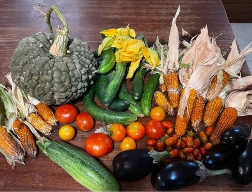 Orti come ponti tra persone e generazioni: l'associazione Ancescao di Lonate Pozzolo fa incontrare nonni e bambini