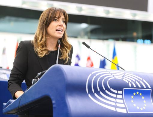 Energia, Tovaglieri interroga Commissione Ue su rincari pellet: «Introvabile, perché in Italia costa di più?»