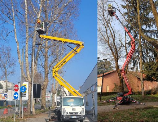 Castellanza, manutenzione straordinaria del verde pubblico: 130mila euro per potature, abbattimenti e nuove piantumazioni