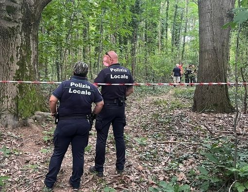 Foto repertorio Foto repertorio