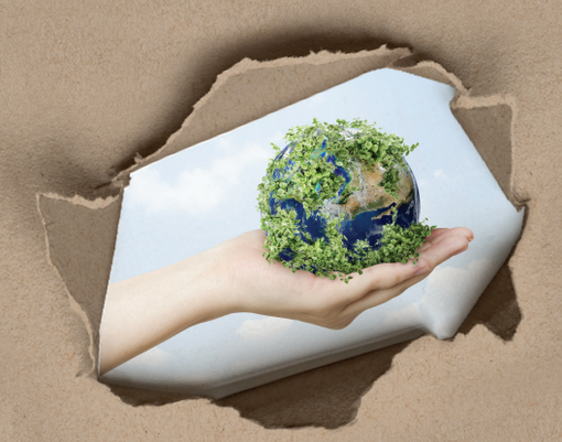 Altri AliMenti, quando la musica dal vivo accompagna progetti di alimentazione consapevole