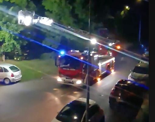 Immagine e video per cortesia di Alex