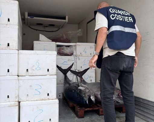 Il tonno sequestrato dagli agenti della Capitaneria di Porto Guardia Costiera di Genova
