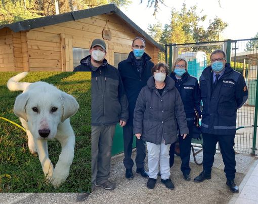 La visita dell'assessore al canile La visita dell'assessore al canile