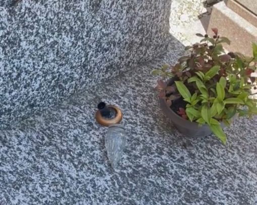 Una delle lampade votive strappate da una tomba al cimitero di Daverio