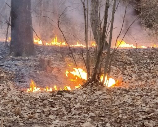 L'incendio nella Valle del Boia a Cavaria con Premezzo