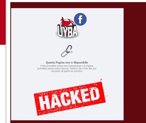 Gli hacker attaccano le farfalle: «Ma noi torneremo su Facebook, siamo più forti»