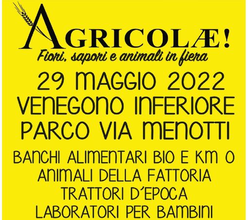 Fiori, sapori e animali in fiera a Venegono Inferiore