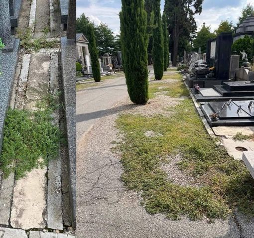 La protesta per lo stato del cimitero di Busto: «Totale noncuranza» La protesta per lo stato del cimitero di Busto: «Totale noncuranza»