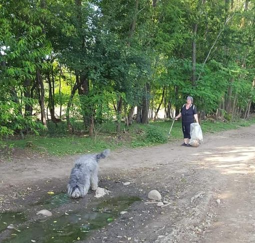 Il maltempo rinvia “Puliamo il Mondo” al Parco Alto Milanese