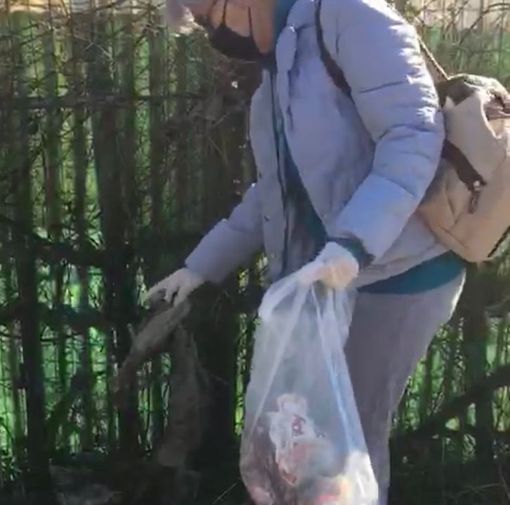 Nasce il Circolo Laudato Si’ di Busto Arsizio-Gallarate: «Guardare al piccolo per responsabilizzarsi in prima persona»
