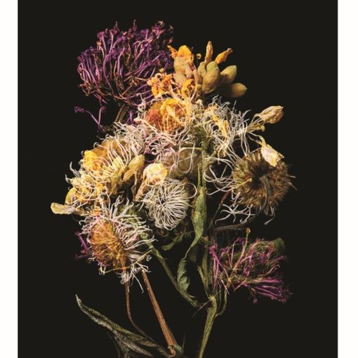 Olga Cafiero vince il Garesio Wine Prize for Documentary Photography