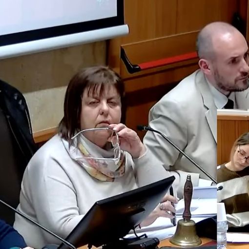 Alcuni momenti del consiglio e in alto l'ex assessore Mezanzana