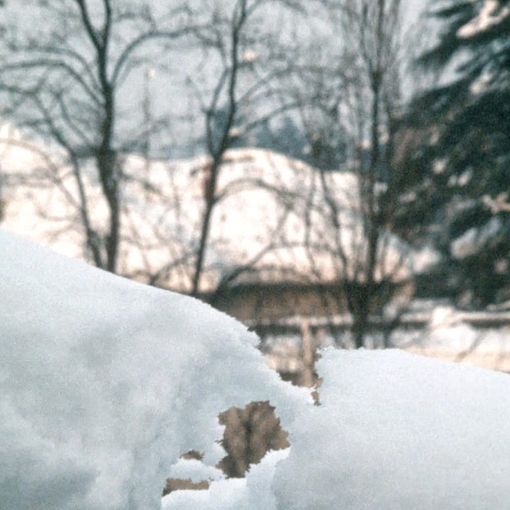 La neve a Busto nel gennaio 1985 (foto Angelo Ferrario)