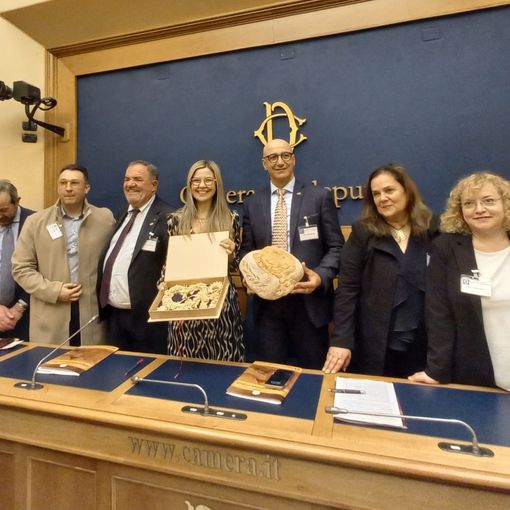 Agroalimentare, Gadda (Iv): «Necessarie regole per crescere»