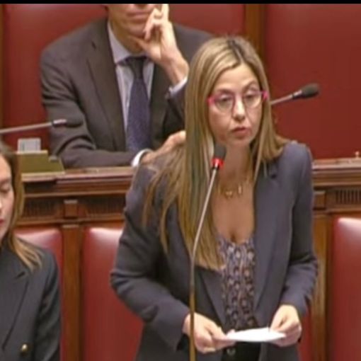 Dazi, Gadda (Italia Viva): «Serve un'Europa unita, l'Italia non può rimanere in silenzio»