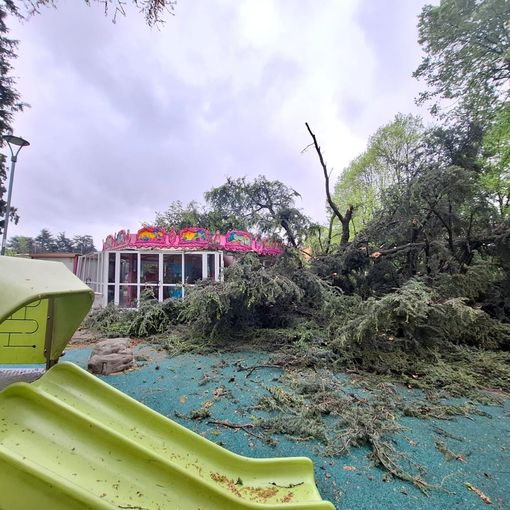 Il giardino Piera Pattani è stato chiuso al pubblico per la caduta di un albero