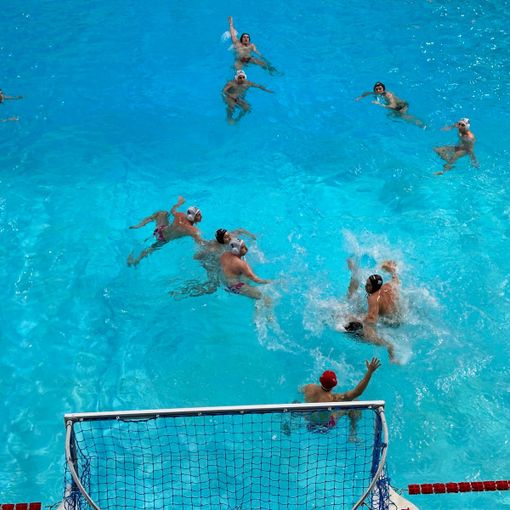 Busto Pallanuoto sfida un Bocconi Sport Team affamato di punti: «Ci faremo trovare pronti»