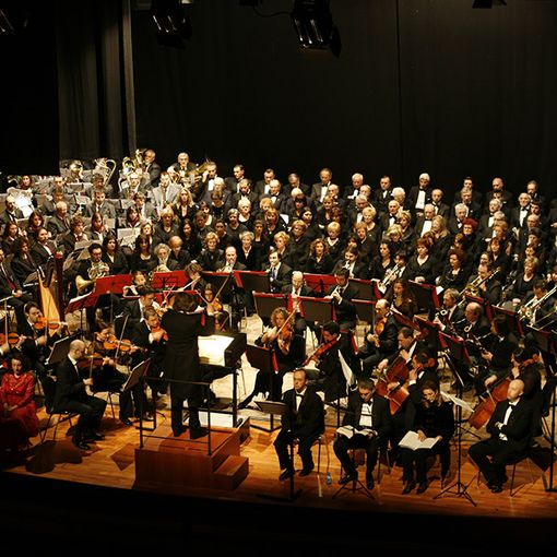 L'Orchestra Filarmonica Europea di Gallarate