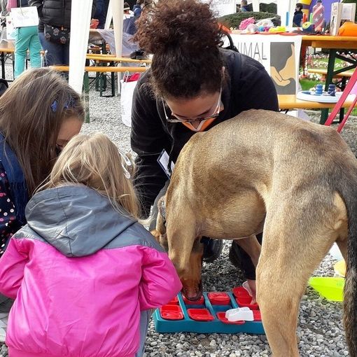 Pet therapy e benessere: il 18 maggio Olgiate Olona ospita “In Cammino con Noi 2025”, evento esperienziale con asini, conigli e cani