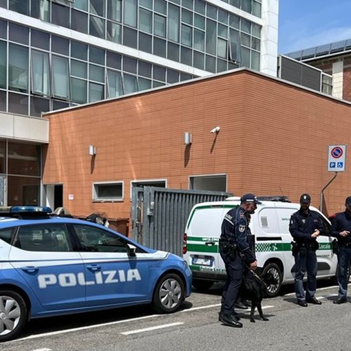 Controlli nelle scuole di Gallarate: scovato hashish grazie al fiuto di Zorro