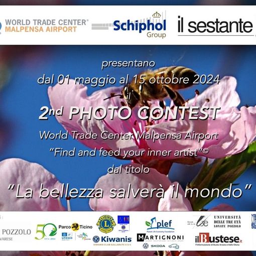 I click digitali che salveranno il mondo