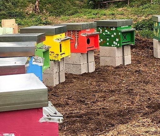 “Le api al Castello” di Legnano cominciano a raccogliere “amici”