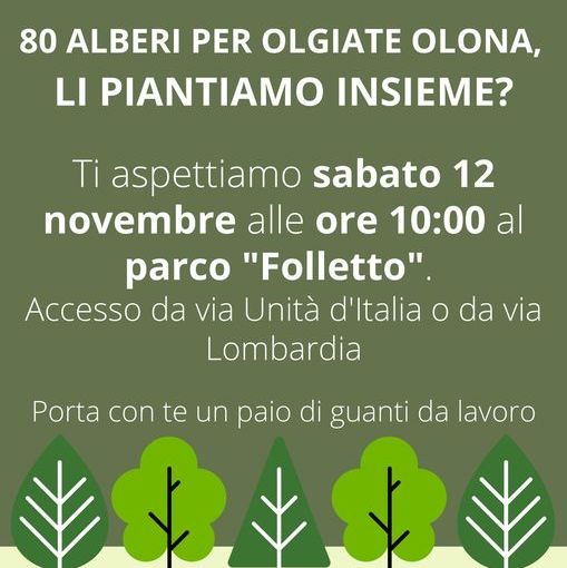 Ottanta nuovi alberi per Olgiate