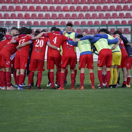 Il rituale abbraccio post partita dei tigrotti nella foto di Marco Giussani