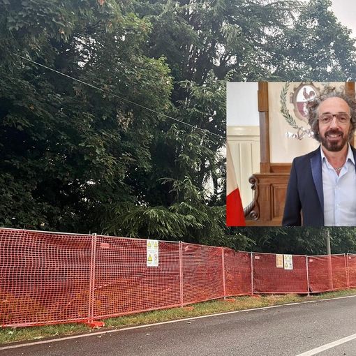 Nel riquadro, il vicesindaco Rocco Longobardi