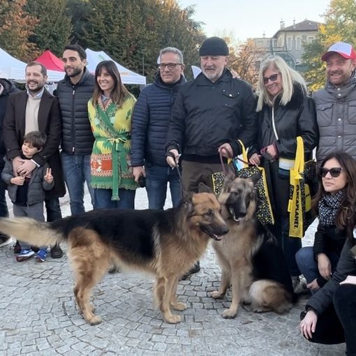 VIDEO. Con un... ululato in marcia quasi 150 cani con le loro famiglie