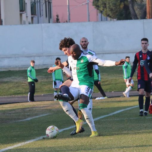 Foto ufficiale della Castellanzese