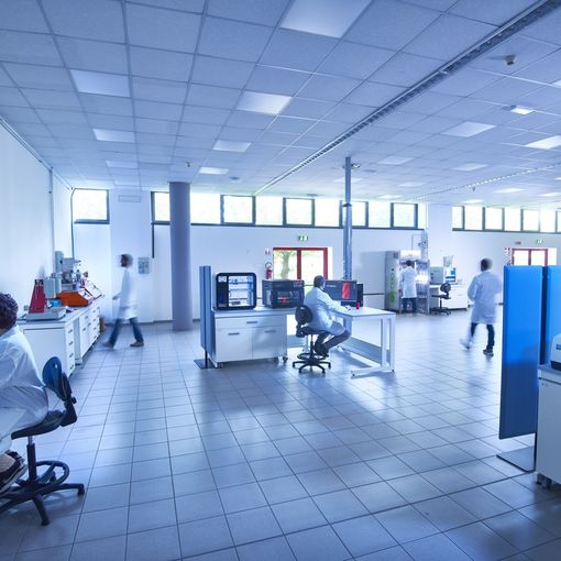 Post-diploma: open day a MalpensaFiere per i corsi promossi da Centrocot con Fondazione Cosmo